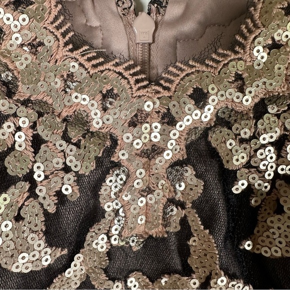 Tadashi Shoji Paillette Embroidered Antique Pink Lace and Sequin Dress Size 4 - Picture 13 of 17